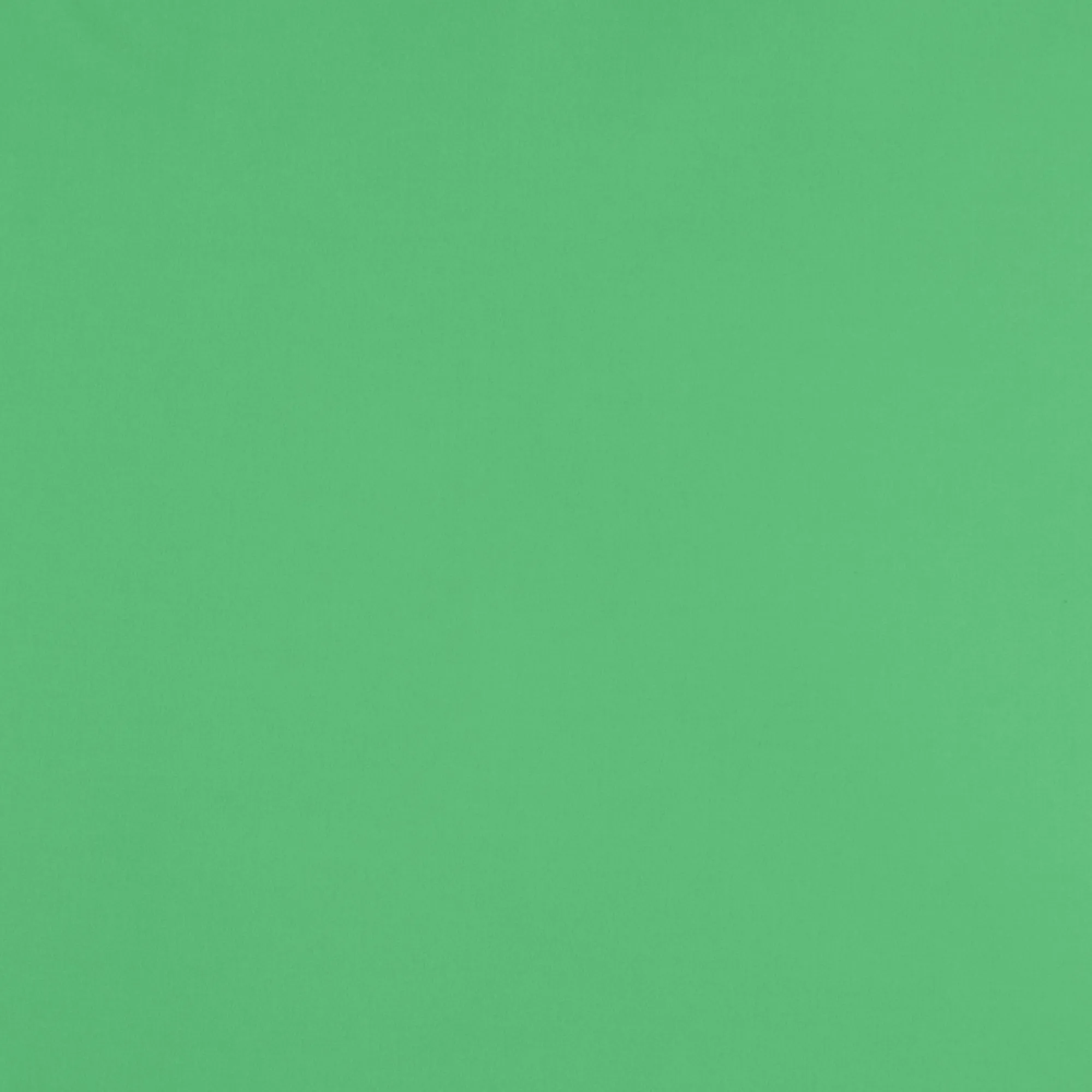 Basic Knit - BARCELONA - Leaf Green